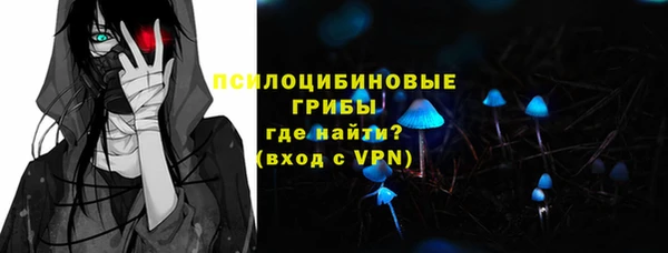 герыч Бронницы