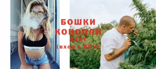 молекула духа Бугульма