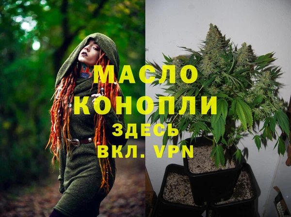 герыч Бронницы